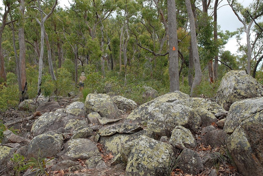 0624 Walshs Pyramid.jpg